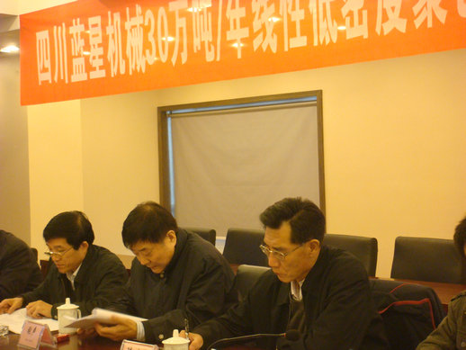 能源局陈世海司长、协会张声理事长、王普勋主任委员在讨论